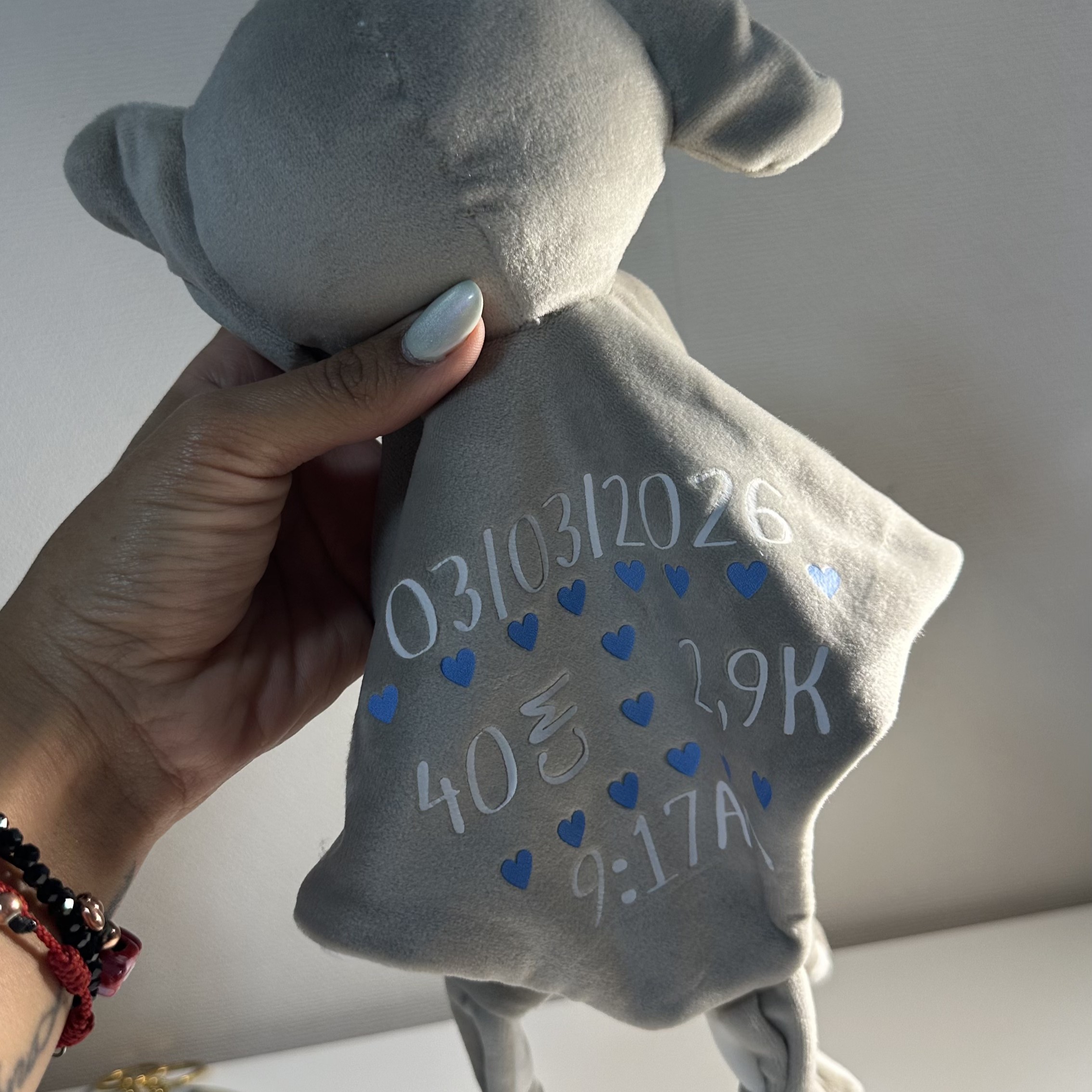 Proyecto peluche personalizado